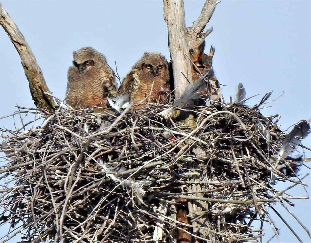 95096998_2987462571314723_4793924598942924800_o