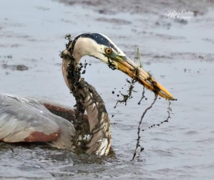 188115820_487037635842446_1412236730729233664_n