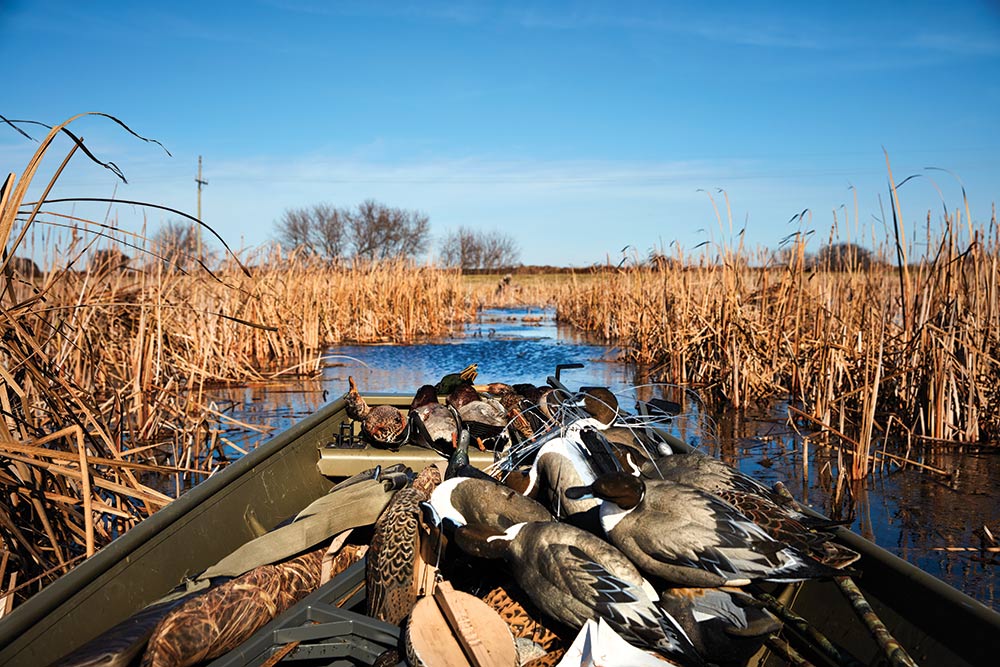 ryxecodje3dypchau4h2n72wmq