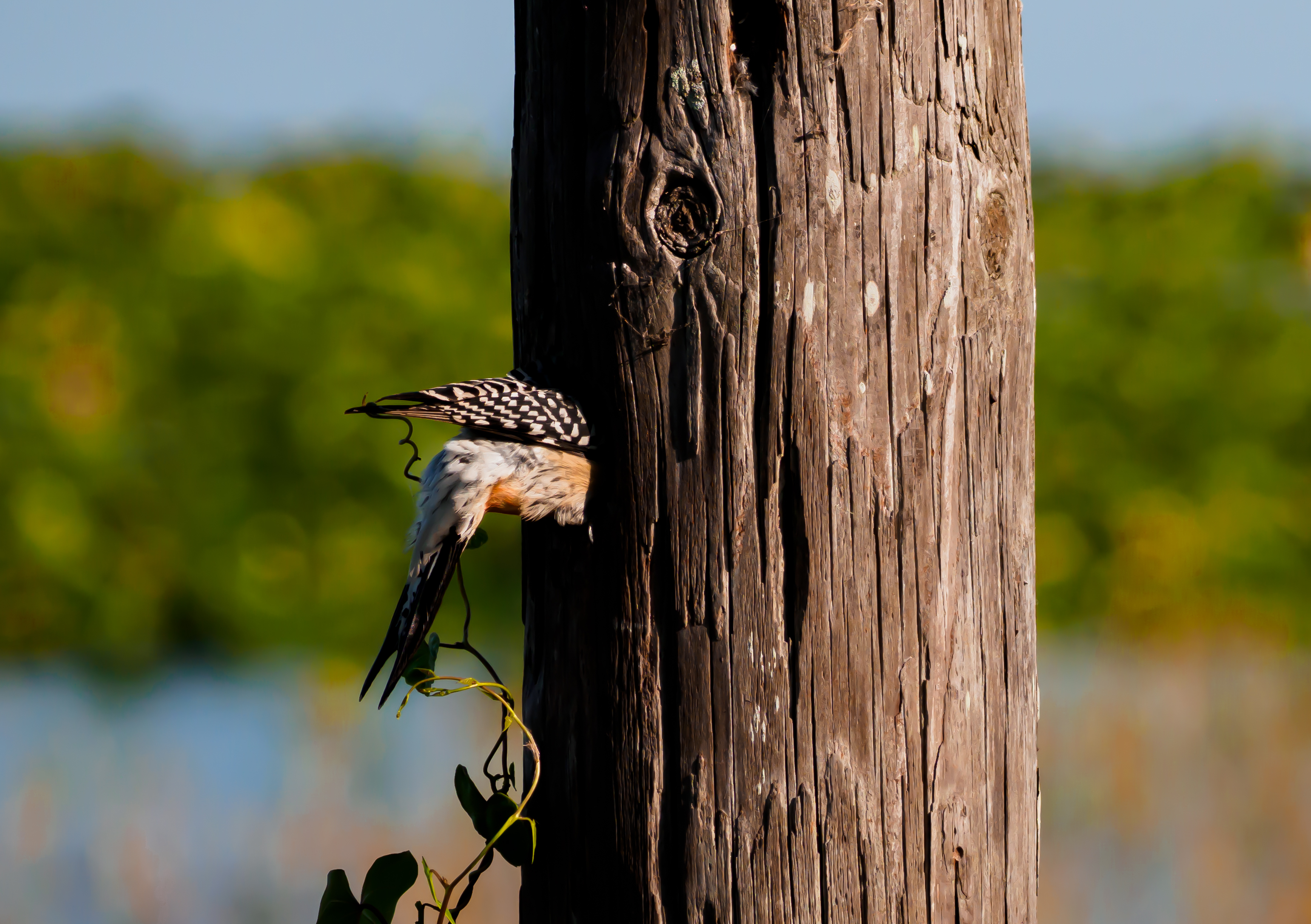 P5050622 don't make me come in there