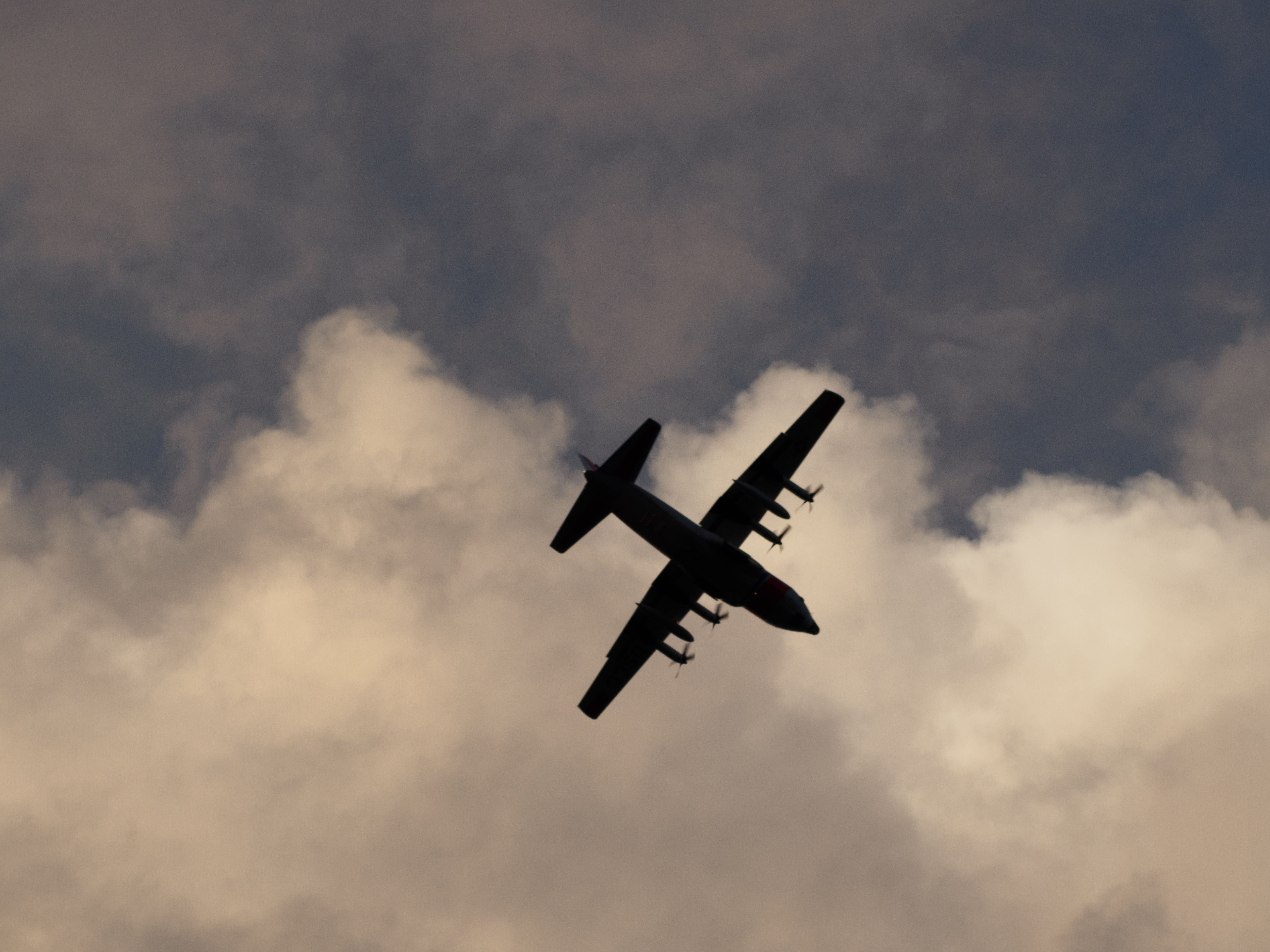 P5051535 - plane as in raw