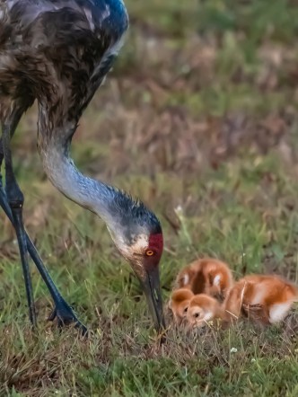 P5070032 - Copy edited