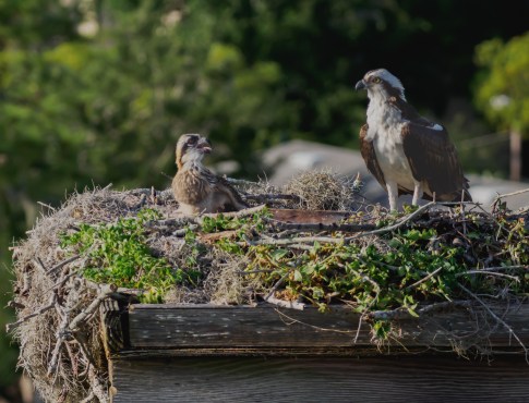 P5071055 mom and bby